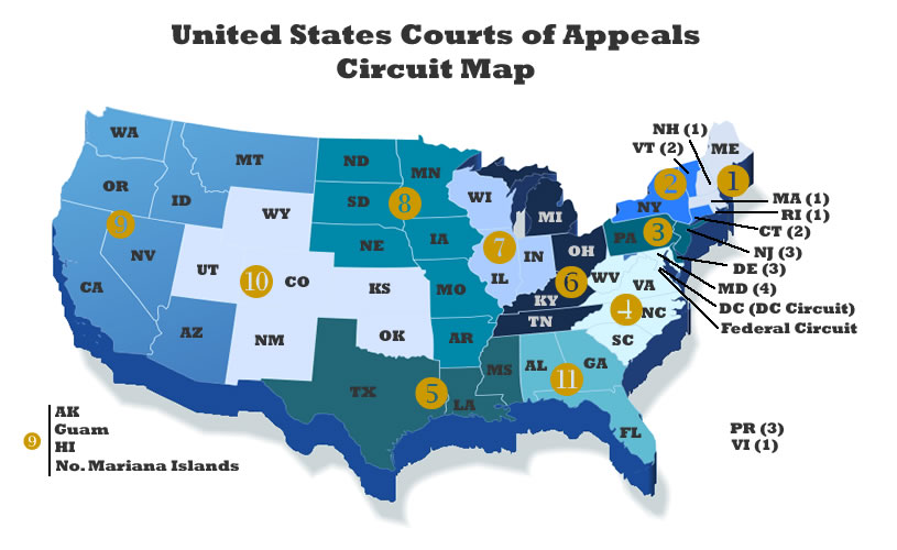federal circuit courts