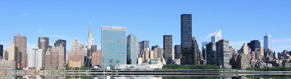 New York Criminal Appeals Lawyer: Attorney Profile