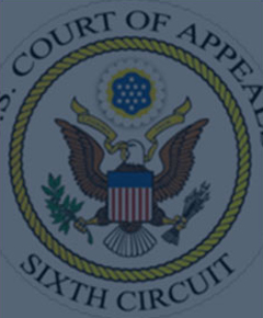 New York Criminal Appeals: Felony Convictions