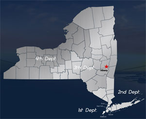 NY State Map